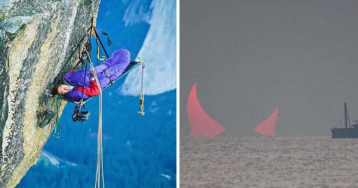 95 Wild Pictures That Make You Appreciate How Weird And Wonderful The World Is