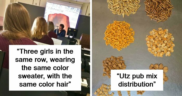 85 People Share Weird And Unexpected Moments That Made Their Day More Interesting