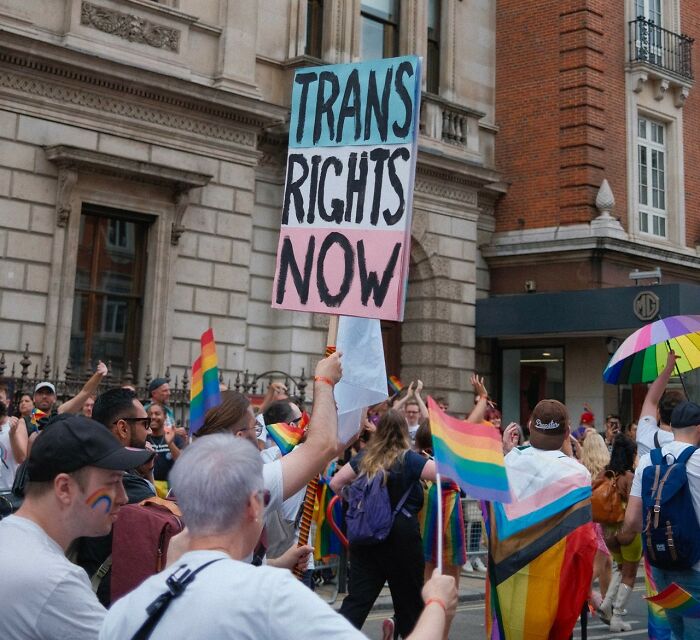 A crowd of people holding pride flags and a sign that reads Trans Rights Now during a parade.