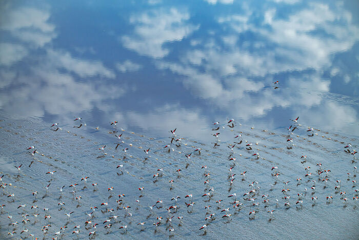 Aerial / Drone, 3rd Place: Reflection By Erfan Samanfar