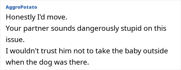 XL Bully Roams Without Leash Or Muzzle, Owner Laughs After It "Plays" With Pregnant Neighbor XL Bully Roams Without Leash Or Muzzle, Owner Laughs After It "Plays" With Pregnant Neighbor