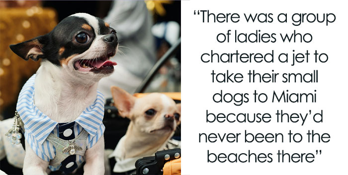 66 People Who Worked For The Rich Reveal The Craziest Things They’ve Seen