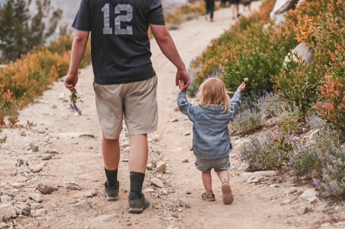 A father and child walking hand-in-hand on a path, a stark contrast to unusual court case stories.