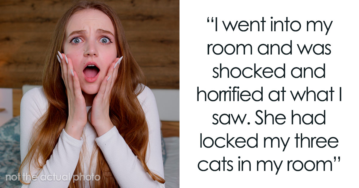 Woman Trusts Roommate To Watch Her Cats While She Visits Sick Dad, Returns To A Destroyed Home
