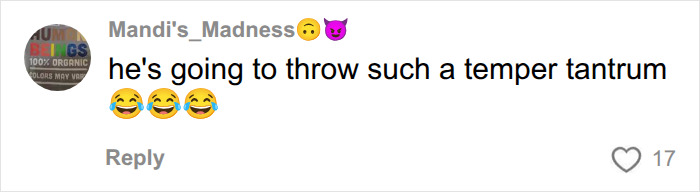 A user comment predicting a temper tantrum in response to Rosie O'Donnell's Trump rumors, with laughing emojis.
