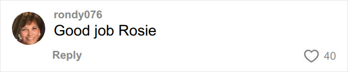 A comment about Rosie O'Donnell and Trump rumors on Jimmy Kimmel, simply stating 'Good job Rosie'.