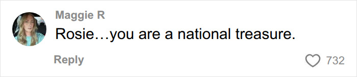 Screenshot of a comment from Maggie R calling Rosie O'Donnell a national treasure.