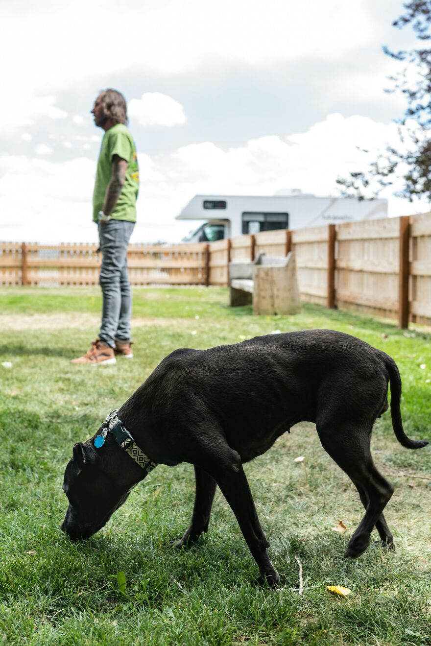A black dog sniffing grass with a person in the background, illustrating a weird side hustle like pet care to make extra dough.