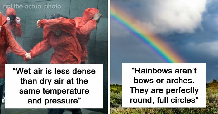 65 Facts That Are So Fun That They Sound Unbelievable But They’re Absolutely True