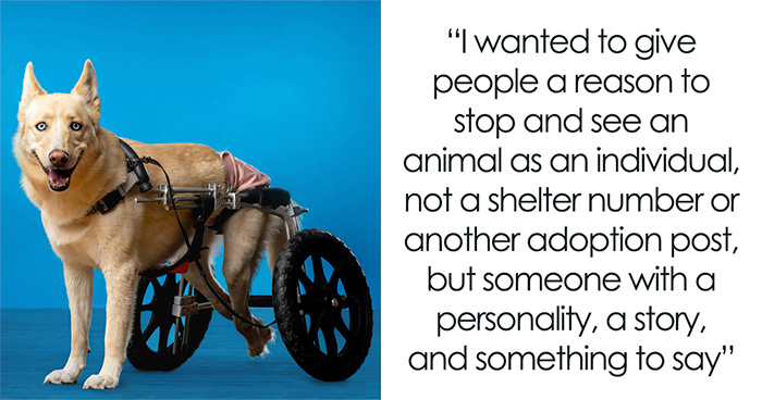 Former Chicago Tribune Photojournalist Launches Unique Project For Shelter Animals (11 Pics)