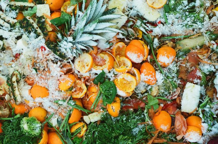 Overhead view of food scraps and organic waste covered in white powder, representing scary science facts about decay and waste.