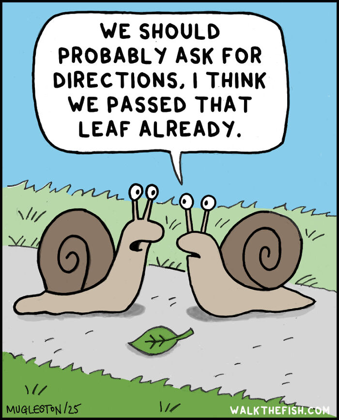 These 30 Single-Panel Cartoons Find The Humor In People Acting Way Too Calm During Absolute Chaos