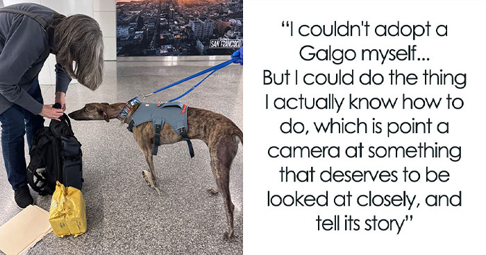 A Flight With 5 Rescued Spanish Galgos Inspired This Photographer’s Artistic Sighthound Photo Project