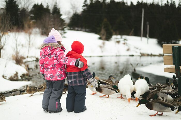 Children in winter park feeding ducks, showing innocence before life and what comes after.