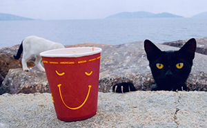 People, Cats, And Perfect Timing: Sami Uçan's 25 New Street Photos