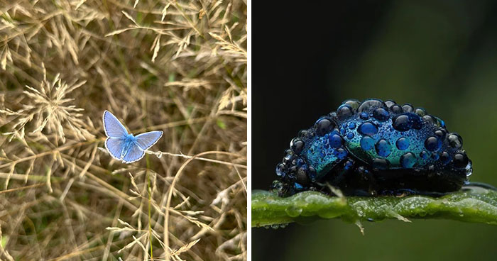 51 Times Nature Delivered The Most Wholesome Moments Ever Photographed