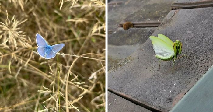 51 Times Nature Delivered The Most Wholesome Moments Ever Photographed