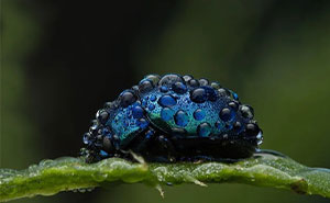 51 Times Nature Delivered The Most Wholesome Moments Ever Photographed
