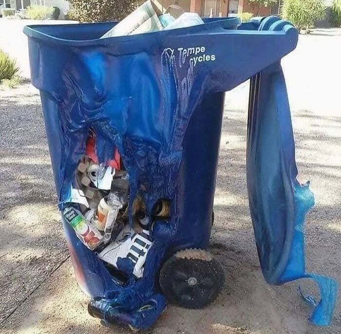 Blue recycling bin melting and ruining its contents because of the summer heat.