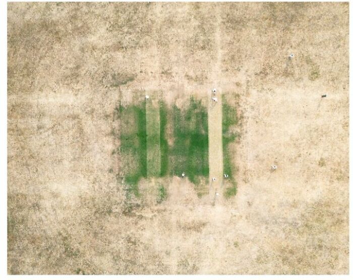 An aerial view of a cricket pitch with a small green strip in the center surrounded by dry, summer-melted earth.