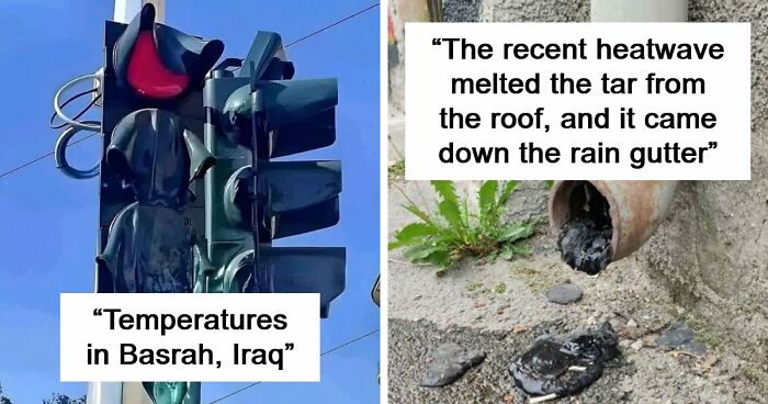 47 Pics Showing Summer Melting And Ruining Everything And Anything