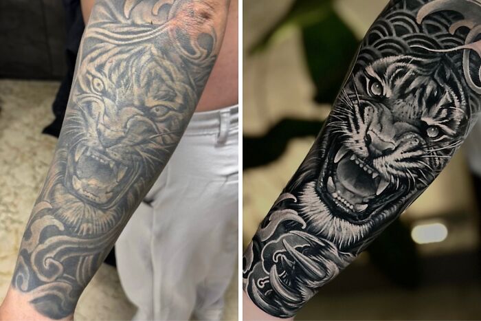 A before and after image of a faded tiger tattoo regret transformed into an incredible cover-up with a roaring tiger in waves.