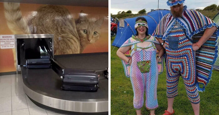 92 Times People Had Terrible Ideas But Executed Them Immaculately