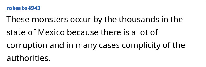 A comment about monsters and corruption in Mexico, highlighting the disturbing reality behind the ordinary family facade.