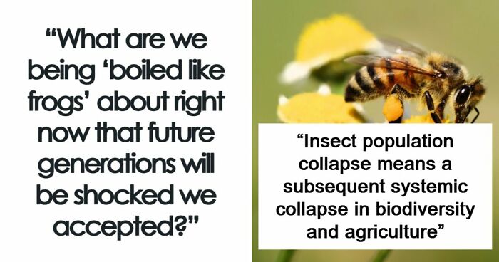 40 Things In Our World That Are Slowly Becoming Worse