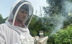 Florida Teenager Invents Amazing Bee-Saving Device That Dramatically Increases Honey Production
