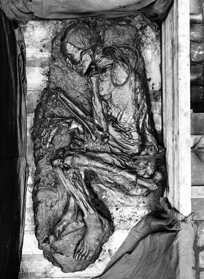 The Tollund Man, a remarkably preserved bog body and historical artifact in a coffin-like display.