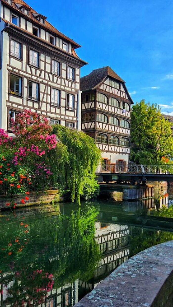 Charming half-timbered buildings with character line a canal, surrounded by vibrant green trees and blooming flowers.