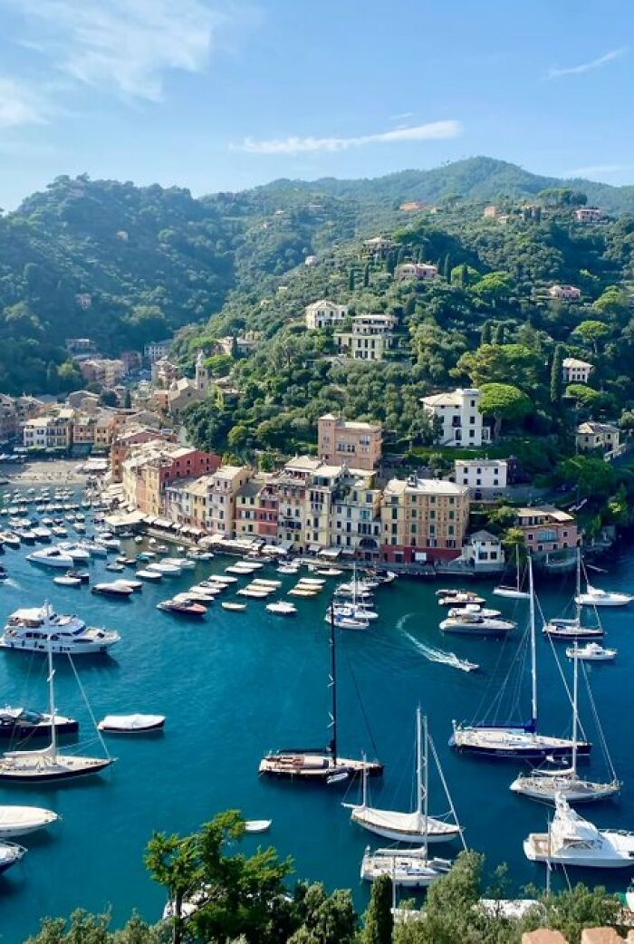 A picturesque harbor village with colorful buildings nestled along a hillside, overlooking a bay filled with boats, a scene with character.