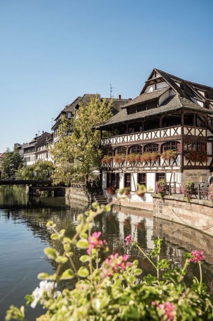 Charming half-timbered buildings with floral window boxes lining a calm river, reflecting a building with character.