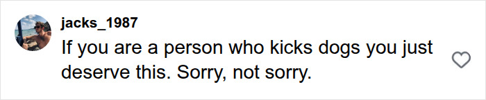 A comment from jacks_1987 that reads, If you are a person who kicks dogs you just deserve this. Sorry, not sorry.