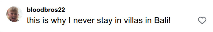 A comment from bloodbros22 that reads, this is why I never stay in villas in Bali!