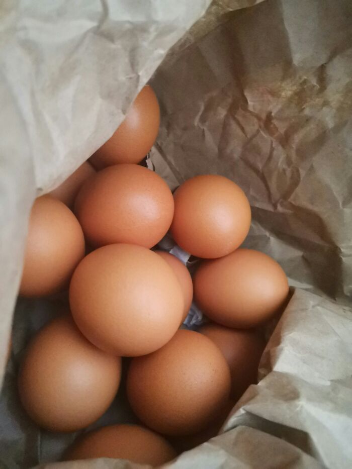 Brown eggs in a paper bag, symbolizing a reality check for entitled people.