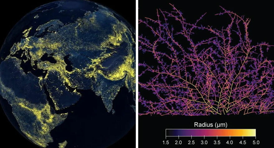 A split image shows Earth's night lights resembling a neural network, highlighting strange things happening on Earth.