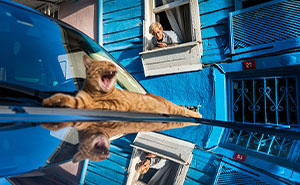 47 Images From The Edge Street Photography Awards That Turn Ordinary Scenes Into Art And Comedy