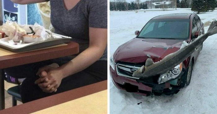 81 Confusing And Unhinged Images That Have No Business Being So Funny (New Pics)