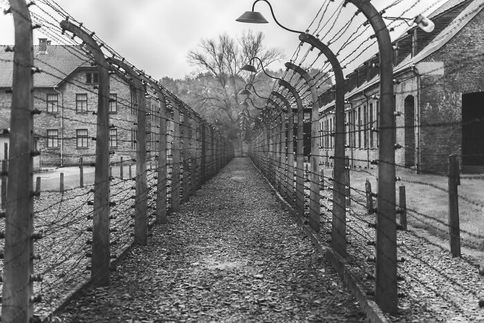 A black and white image of a path between barbed wire fences with buildings in the background, hinting at WWII mysteries.