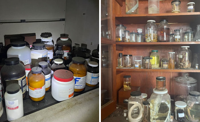 A collection of old chemical bottles and jars containing preserved specimens on shelves, found while exploring abandoned places.