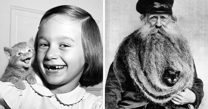 29 Vintage Photos That Show Animals Have Always Stolen The Spotlight, As Shared By This Page