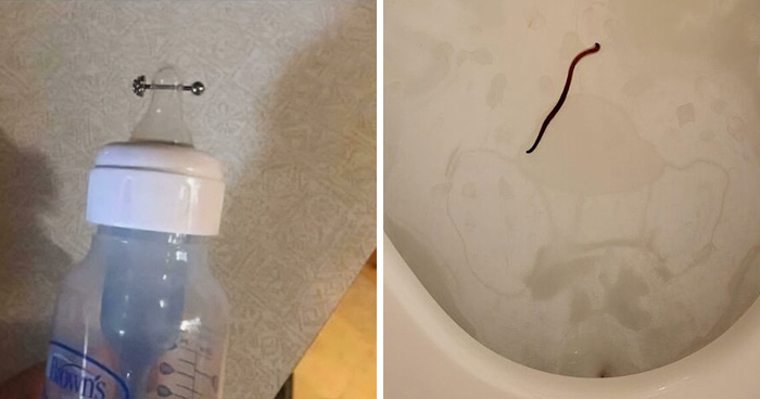 80 Times People Had No Idea What They Were Looking At, So They Asked Online (New Pics)