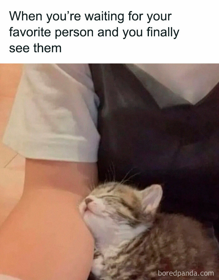 Wholesome post: A tiny kitten snuggled comfortably against a person's arm, taking a tiny break.