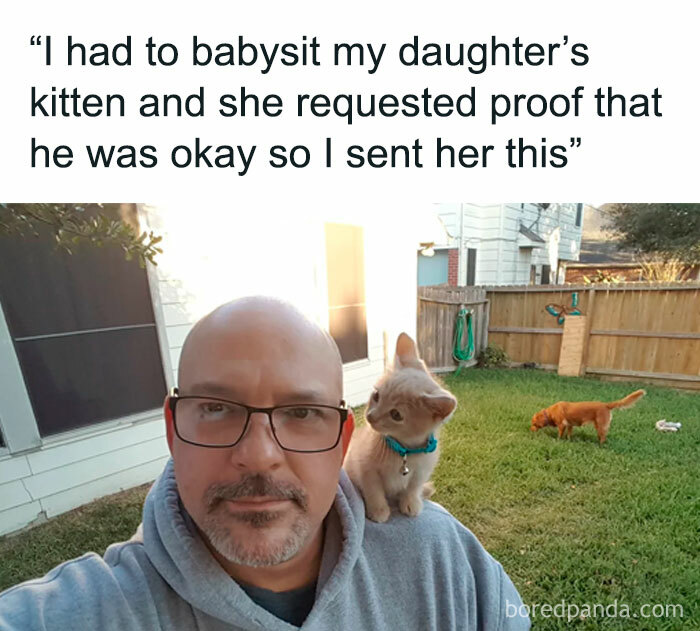 A man with glasses taking a selfie with a small kitten on his shoulder, in a wholesome post about babysitting.