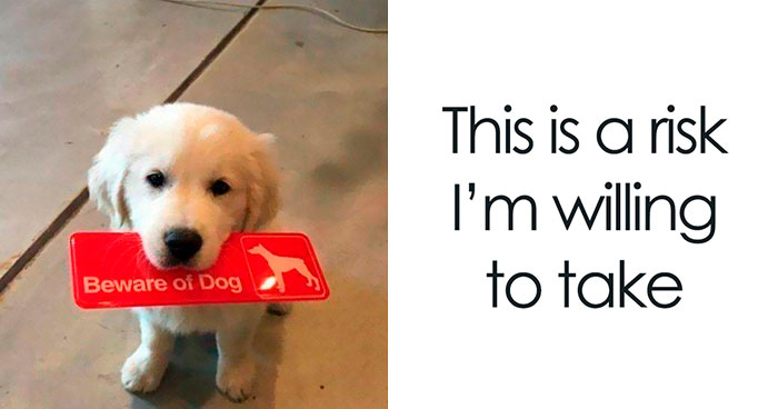 102 Wholesome Moments That Might Restore A Little Faith In Humanity