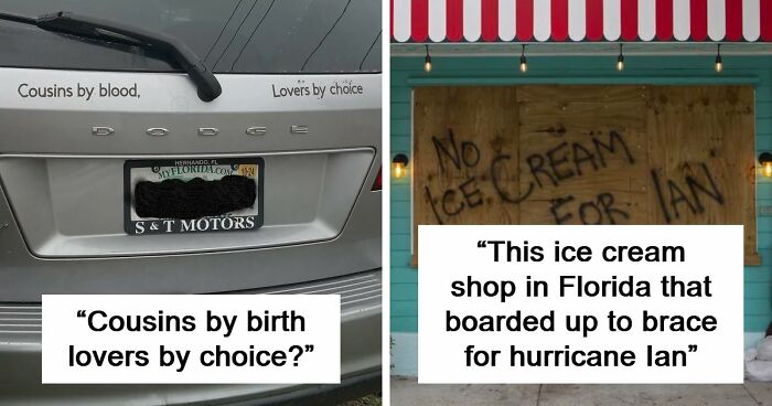 73 Unhinged Moments That Could Only Happen In Florida