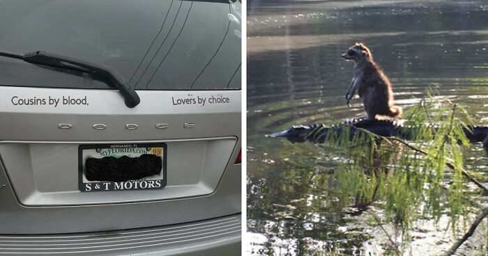 73 Unhinged Moments That Could Only Happen In Florida