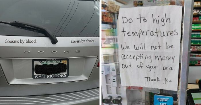 73 Unhinged Moments That Could Only Happen In Florida